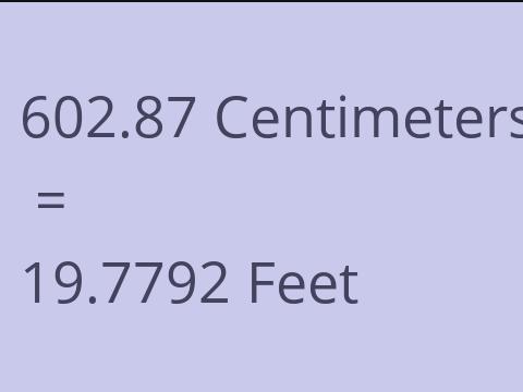 602.87 CM TO FEET