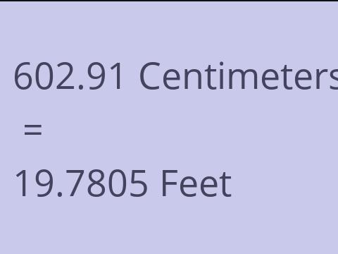 602.91 CM TO FEET