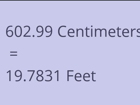 602.99 CM TO FEET