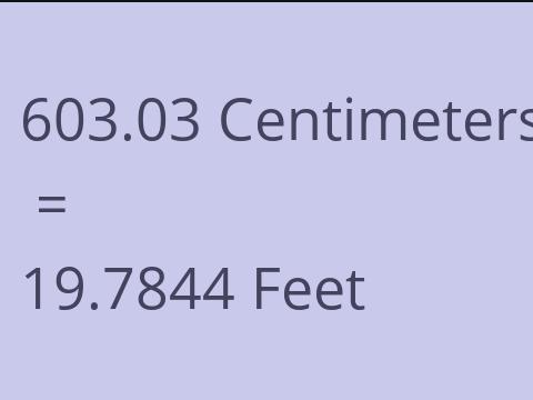 603.03 CM TO FEET