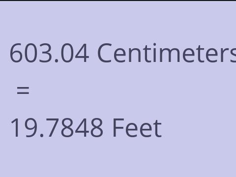 603.04 CM TO FEET