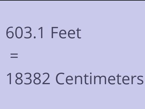 603.1 FEET TO CM