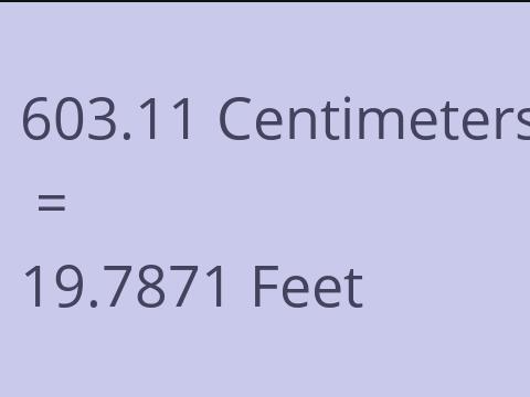 603.11 CM TO FEET