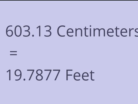 603.13 CM TO FEET