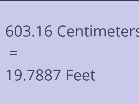 603.16 CM TO FEET