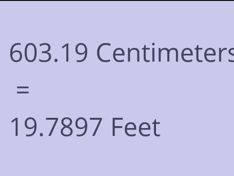 603.19 CM TO FEET