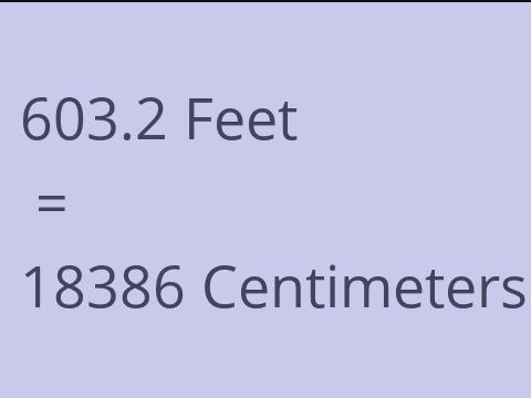 603.2 FEET TO CM