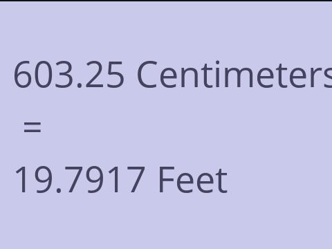 603.25 CM TO FEET