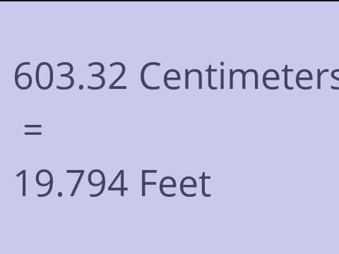 603.32 CM TO FEET