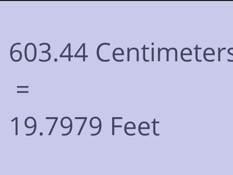 603.44 CM TO FEET