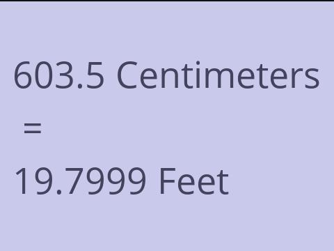 603.5 CM TO FEET