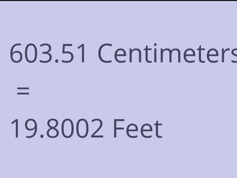 603.51 CM TO FEET