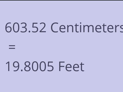 603.52 CM TO FEET