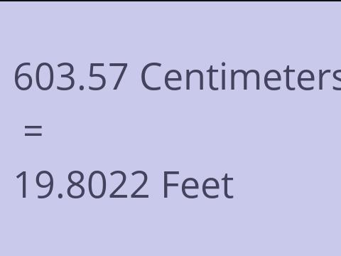 603.57 CM TO FEET