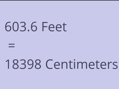 603.6 FEET TO CM