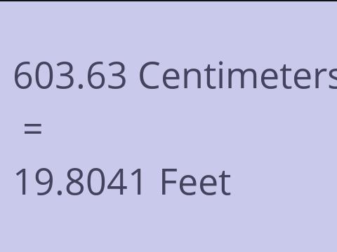 603.63 CM TO FEET