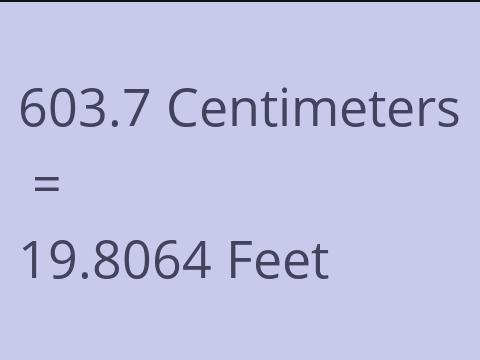 603.7 CM TO FEET