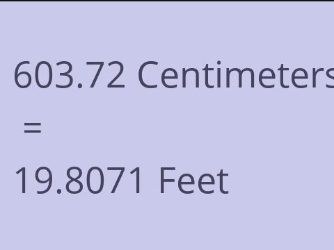 603.72 CM TO FEET