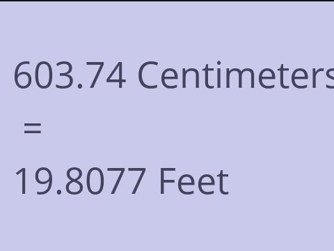 603.74 CM TO FEET