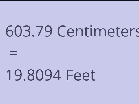 603.79 CM TO FEET