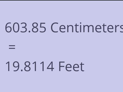 603.85 CM TO FEET