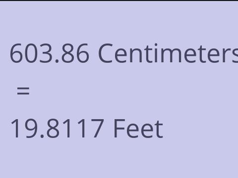 603.86 CM TO FEET