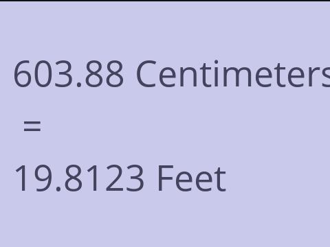 603.88 CM TO FEET