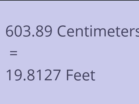 603.89 CM TO FEET