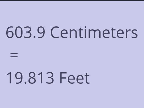 603.9 CM TO FEET