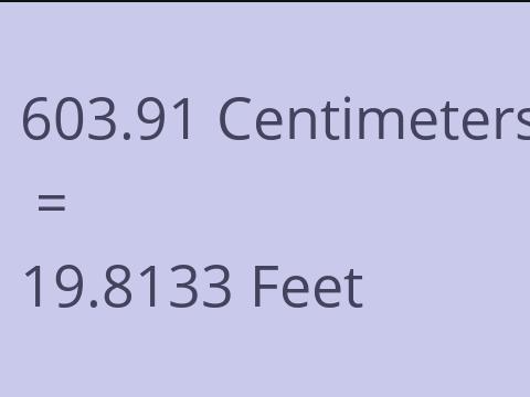 603.91 CM TO FEET