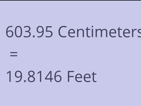 603.95 CM TO FEET