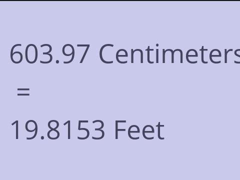 603.97 CM TO FEET