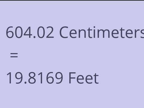 604.02 CM TO FEET