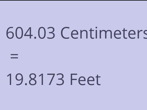 604.03 CM TO FEET