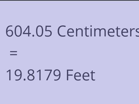 604.05 CM TO FEET