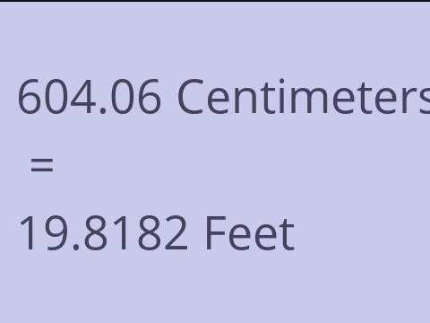 604.06 CM TO FEET