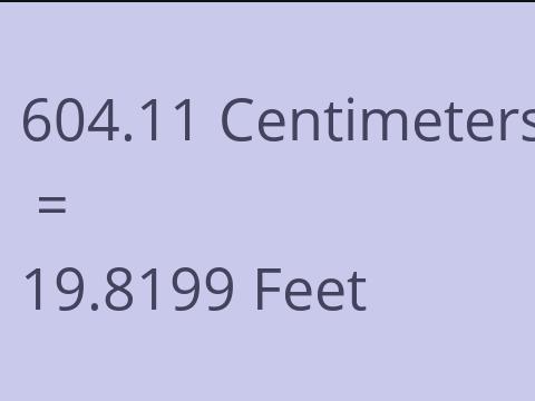 604.11 CM TO FEET