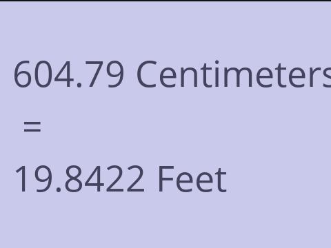 604.79 CM TO FEET