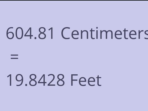 604.81 CM TO FEET