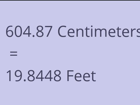 604.87 CM TO FEET