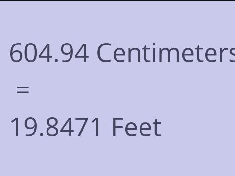 604.94 CM TO FEET