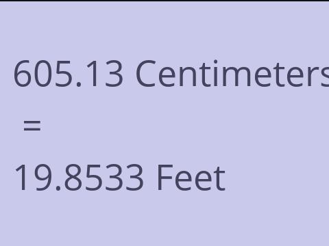 605.13 CM TO FEET