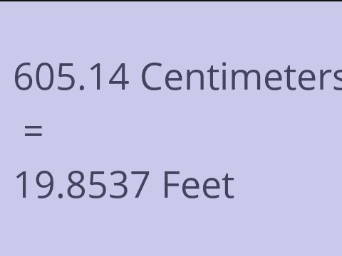 605.14 CM TO FEET