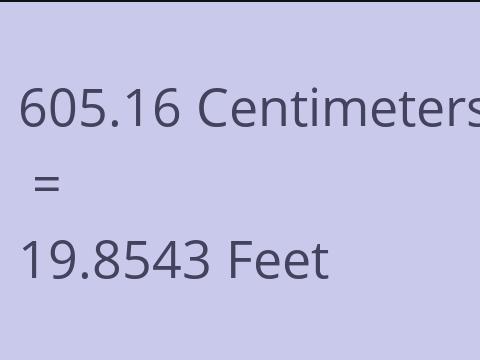 605.16 CM TO FEET