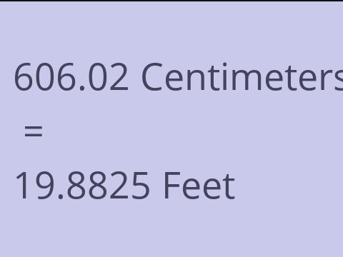 606.02 CM TO FEET