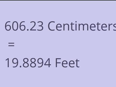 606.23 CM TO FEET