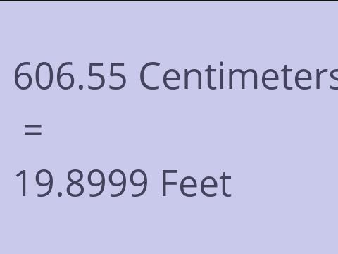 606.55 CM TO FEET