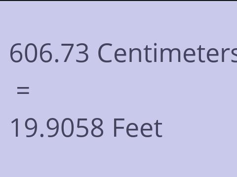 606.73 CM TO FEET