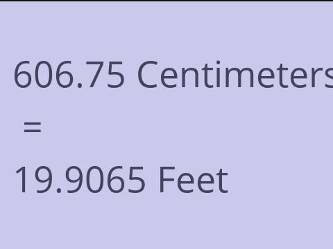 606.75 CM TO FEET