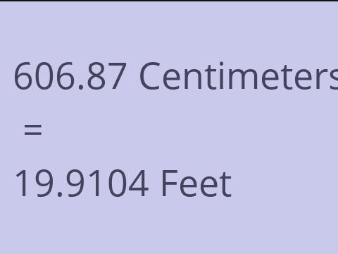 606.87 CM TO FEET